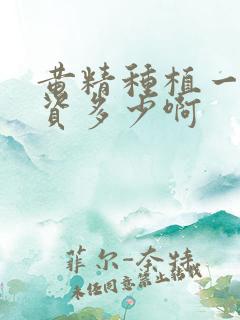 黄精种植一亩投资多少啊