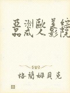 亚洲欧美综合精品成人影院