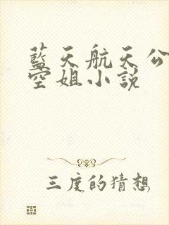 蓝天航天公司的空姐小说