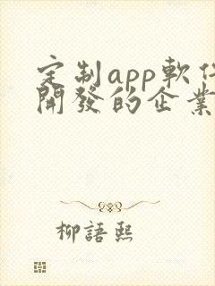 定制app软件开发的企业