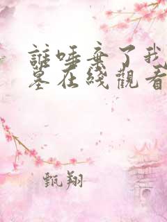 谁唾弃了我的坟墓在线观看