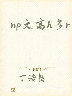 np文高h多r