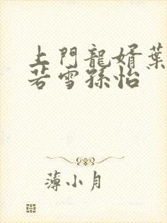 上门龙婿叶辰夏若雪孙怡