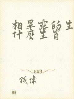 相毕露的生肖是什么生肖