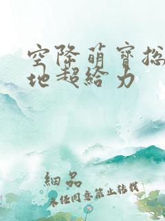 空降萌宝总裁爹地超给力