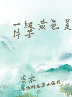 一级黄色美女大片子