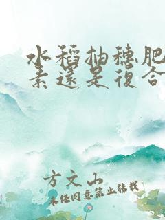 水稻抽穗肥撒尿素还是复合肥好