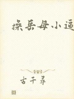 操岳母小逼