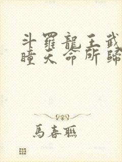 斗罗龙王武魂重瞳天命所归免费阅读