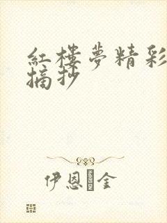 红楼梦精彩好句摘抄