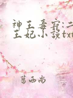 神王毒宠:二嫁王妃小说txt