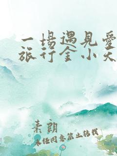 一场遇见爱情的旅行金小天