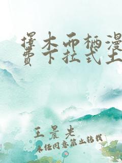 择木而栖漫画免费下拉式土豪漫画
