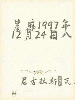 农历1997年12月24日八字