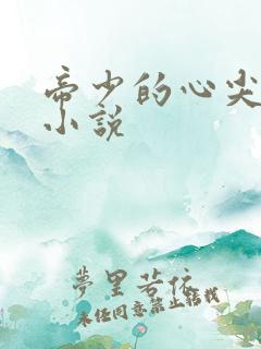 帝少的心尖宠 小说