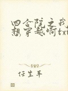 四合院之我真没想穿越啊txt