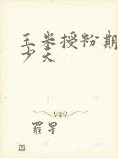玉米授粉期是多少天