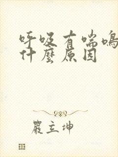呼吸有喘鸣音是什么原因