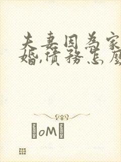 夫妻因为家暴离婚,债务怎么分配
