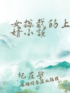 女总裁的上门女婿小说