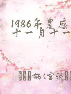 1986年农历十一月十一出生的人命运如何
