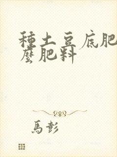 种土豆底肥用什么肥料
