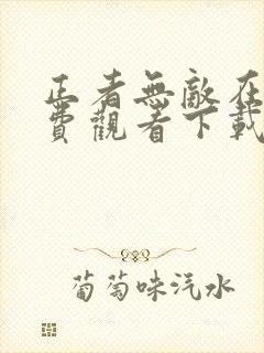正者无敌在线免费观看下载