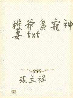 权爷枭宠神秘娇妻 txt