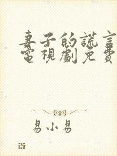 妻子的谎言韩版电视剧免费观看