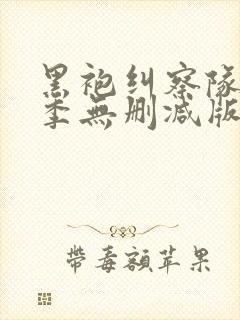 黑袍纠察队第一季无删减版在线看