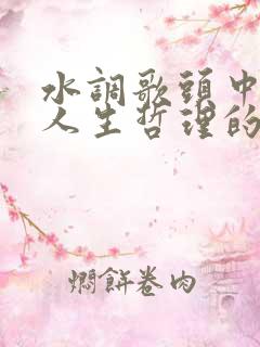 水调歌头中富含人生哲理的句子是