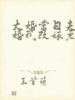 大婚当日夫君逃婚我改嫁免费介绍