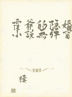 霍爷的隐婚罪妻小说无弹窗