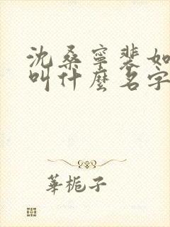 沈桑宁裴如小说叫什么名字