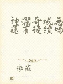 神澜奇域无双珠还有后续吗