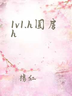 1v1.h圆房h