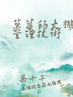 草莓的大棚种植管理技术