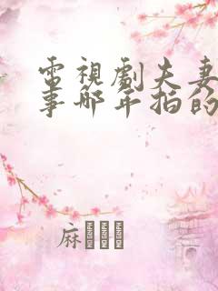 电视剧夫妻那些事哪年拍的