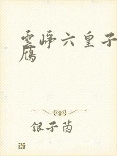 云峥六皇子沈落雁