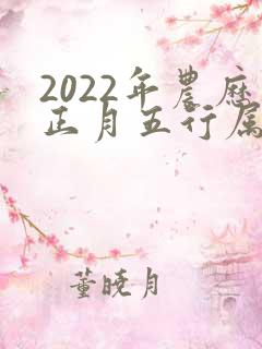 2022年农历正月五行属什么