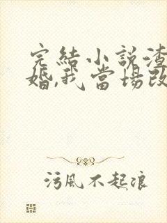 完结小说渣男逃婚,我当场改嫁了