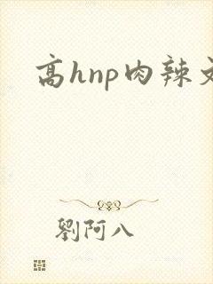 高hnp肉辣文