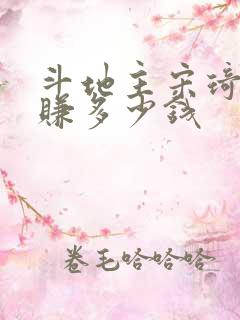 斗地主宋琦一年赚多少钱