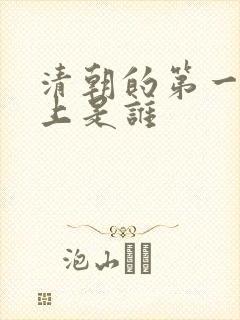 清朝的第一个皇上是谁