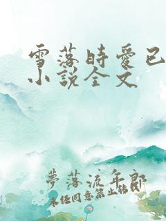 雪落时爱已落幕小说全文