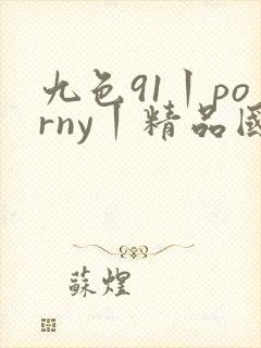 九色91丨porny丨精品国产