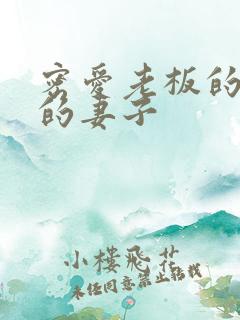 密爱老板的年轻的妻子