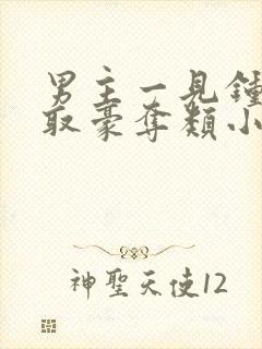 男主一见钟情强取豪夺类小说