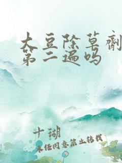 大豆除草剂能打第二遍吗