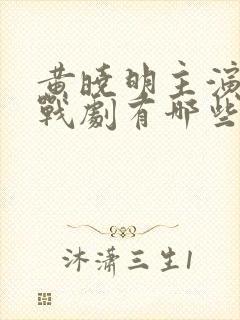 黄晓明主演的谍战剧有哪些